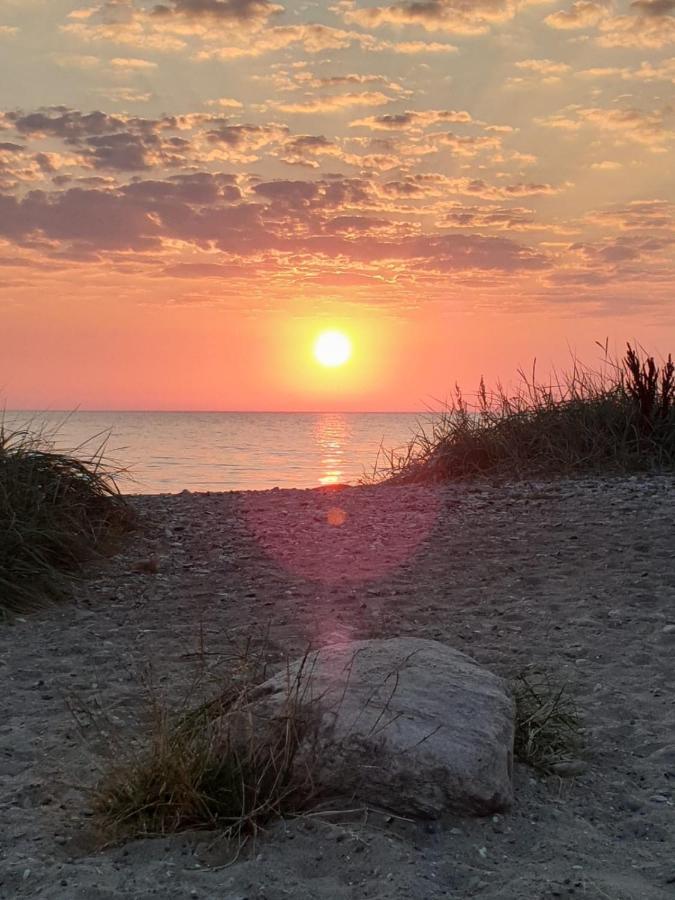 Fewo Mit Meerblick - Direktzugang Zur Nordsee Apartment Wilhelmshaven Luaran gambar